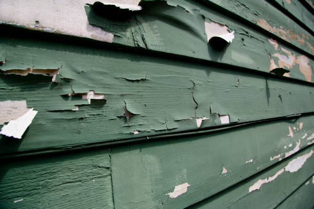 Best Property Management Cleanouts  in Gang Mills, NY