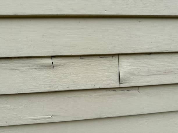 Best Shed Removal  in Gang Mills, NY